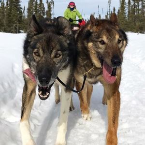 Meet your Posher, Janet